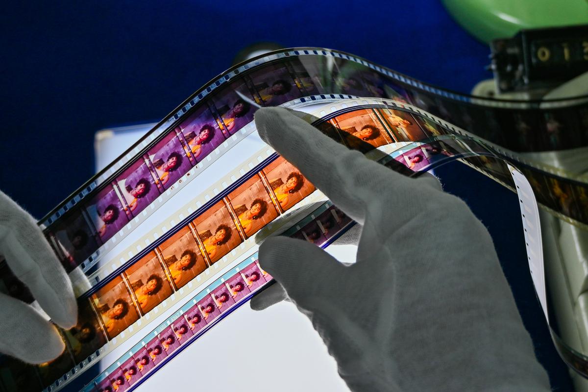 Negatives of the film 