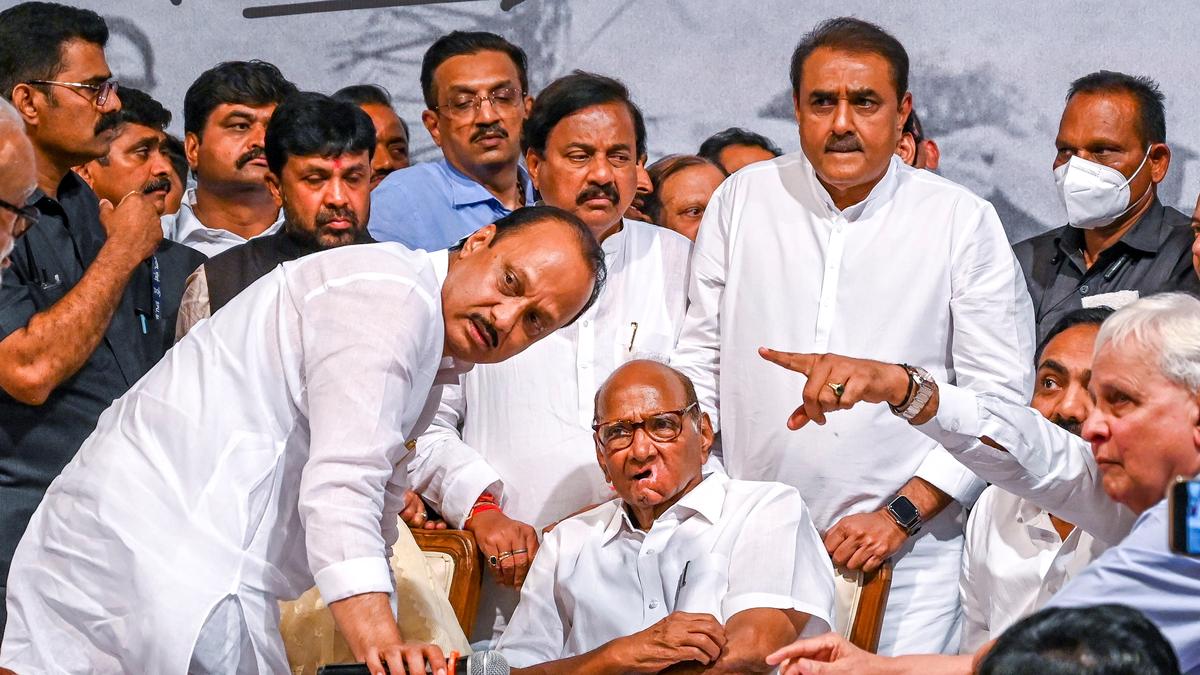Ajit Pawar created confusion in minds of voters, Sharad Pawar tells Supreme Court