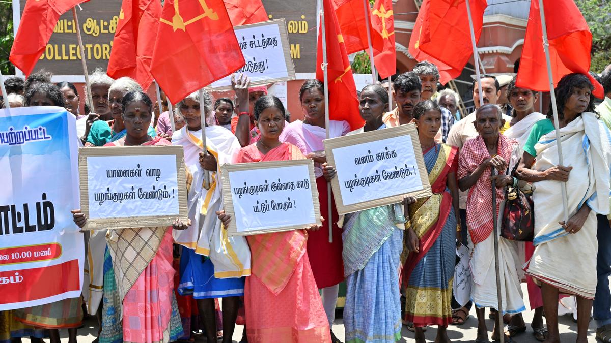Tribal people cheated out of land and compensation during relocation process from MTR stage protest in Ooty