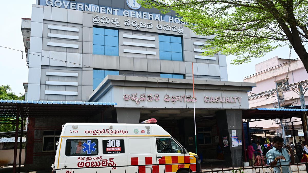 Vijayawada GGH officials suspect conspiracy after dog takes amputated limb
