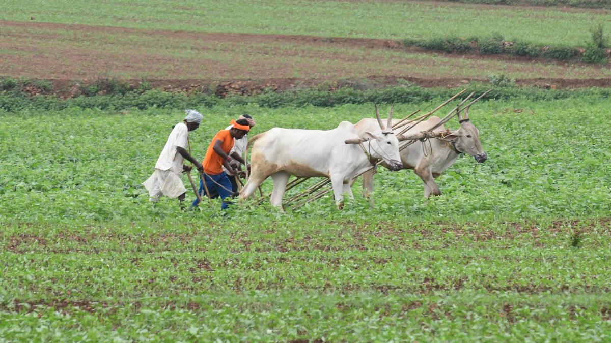 Here are the big stories from Karnataka today