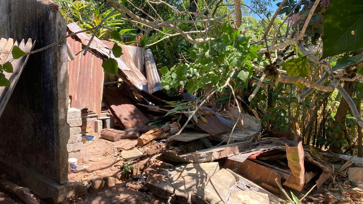 Rogue tusker Murivalankompan attacks four houses at Chinnakkanal in Idukki