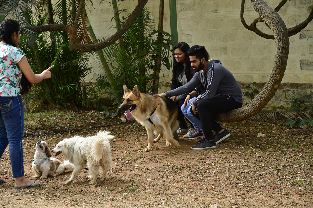 People spend time with their pets at Cubbon Park in Bengaluru.