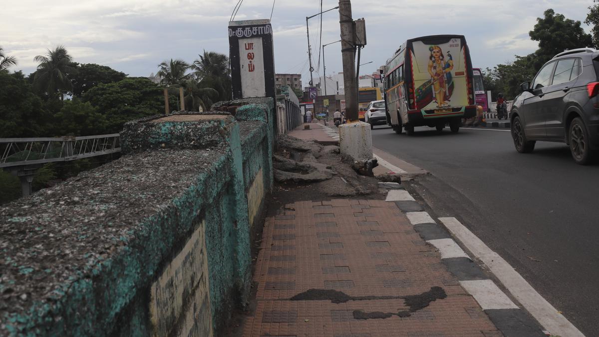 Dr Gurusamy Bridge: A touch of the trowel and a stroke of the brush should do the trick