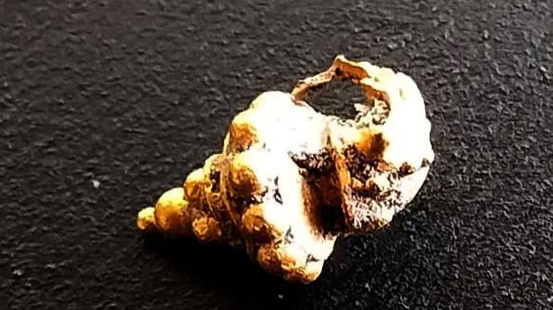 Gold ornament found at Vembakottai excavation site