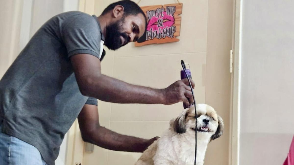 Now, busy pet parents have spa services at their doorstep