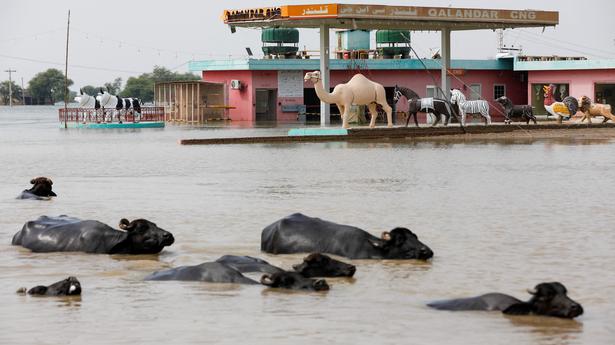 Pakistan reopens key highway to speed aid to flood victims