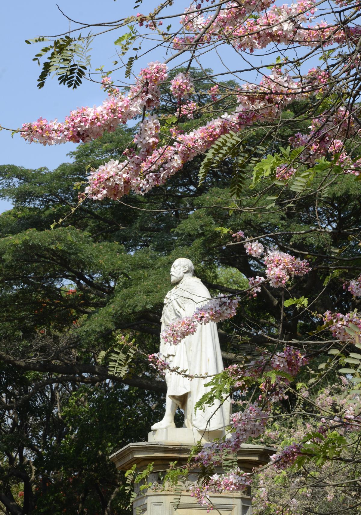  King Edward VII statue in Cubbon Park