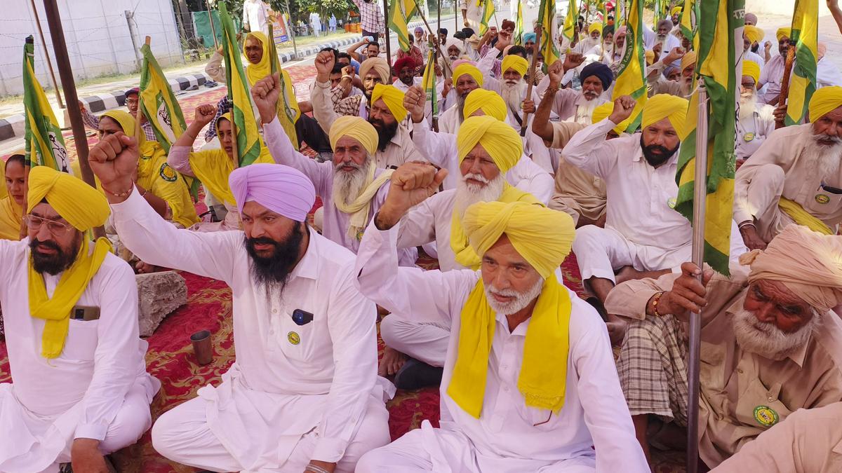 Punjab BJP delegation meets Governor, submits memo blaming AAP govt for 'tardy' paddy lifting