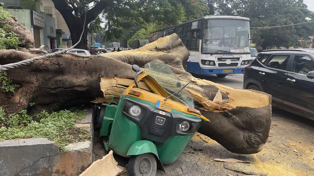 Heavy rains flood city again