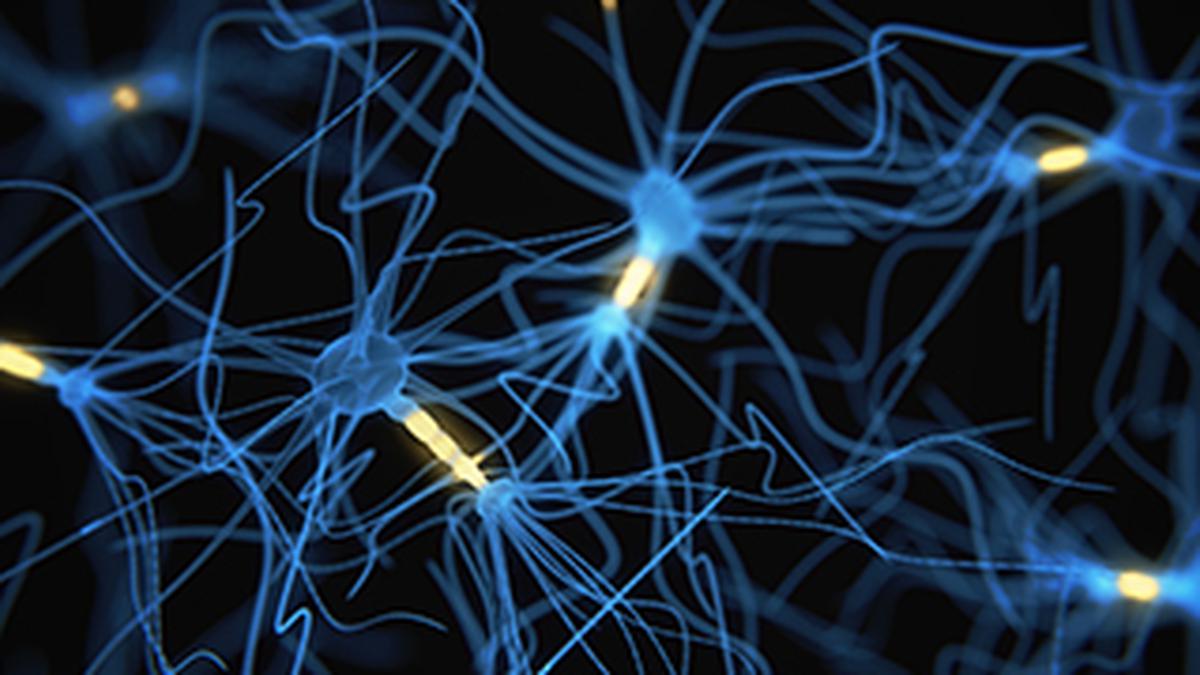 Not neurons, but synapses, form working memory, 'hold' info : Study
