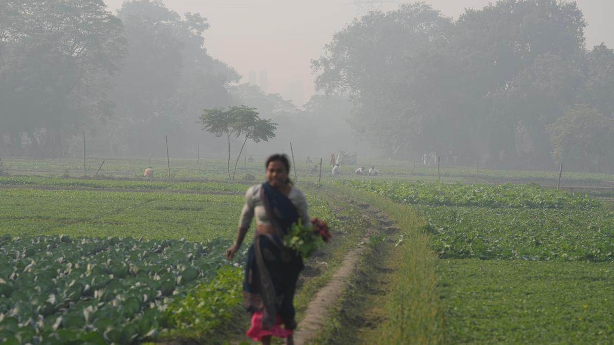 Delhi govt. to create a digital database of agricultural land