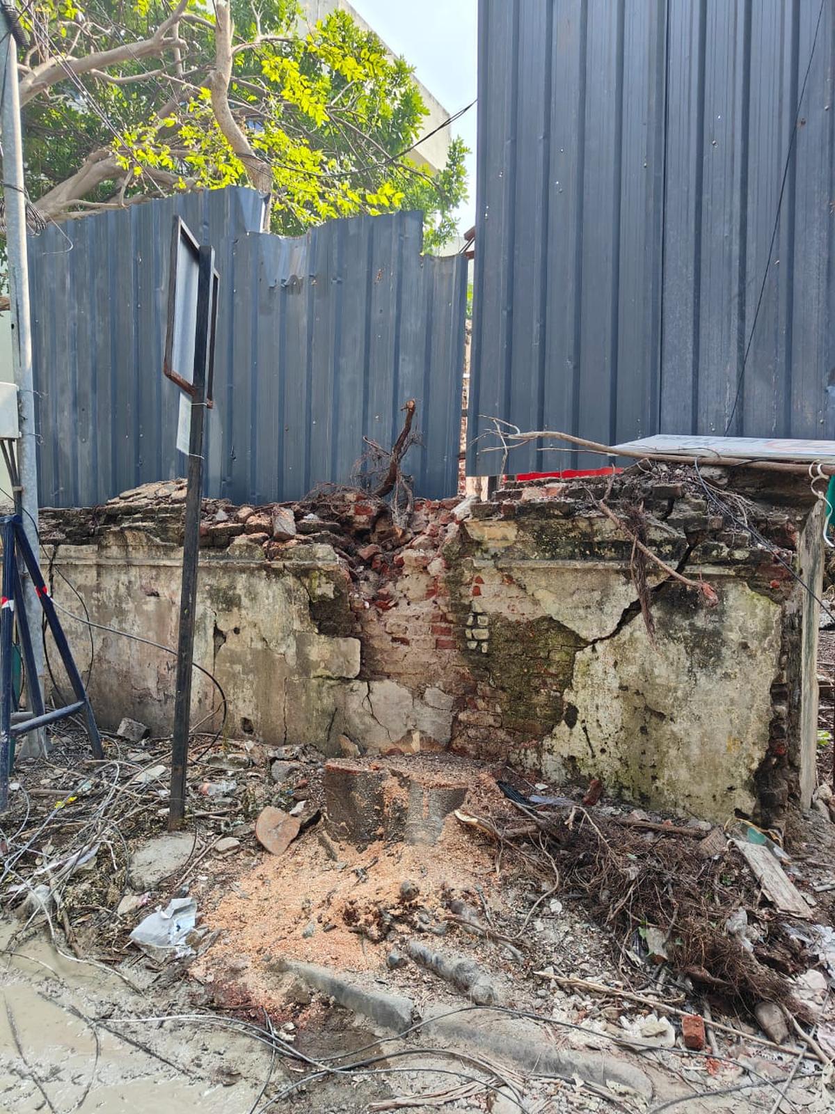 Tunggul pohon lain yang ditebang.