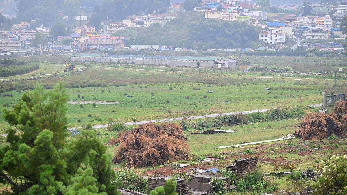 NGT urged to protect and preserve Ooty Race Course