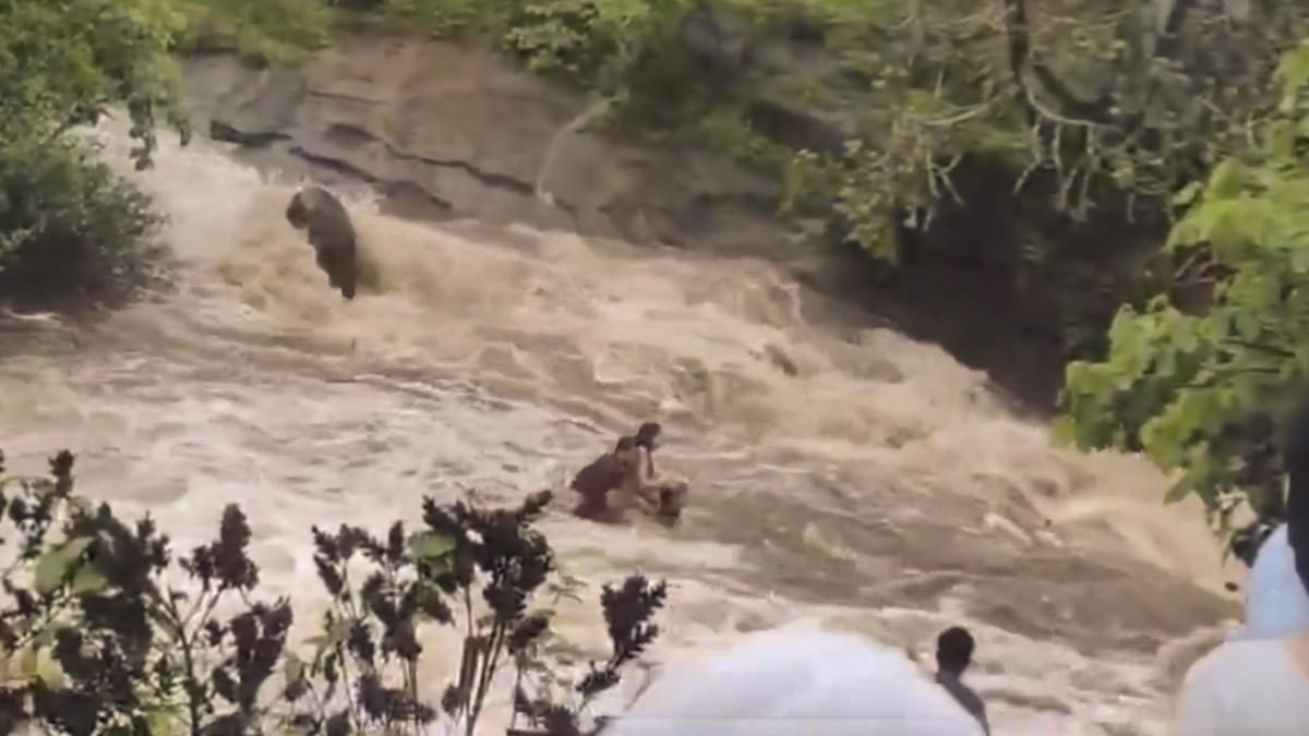 Lonavala waterfall tragedy: Search on for two missing children