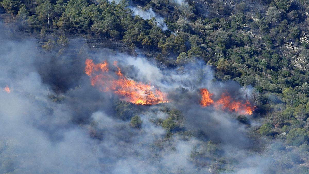 Dozens evacuated as wildfire spreads on Spain-France border