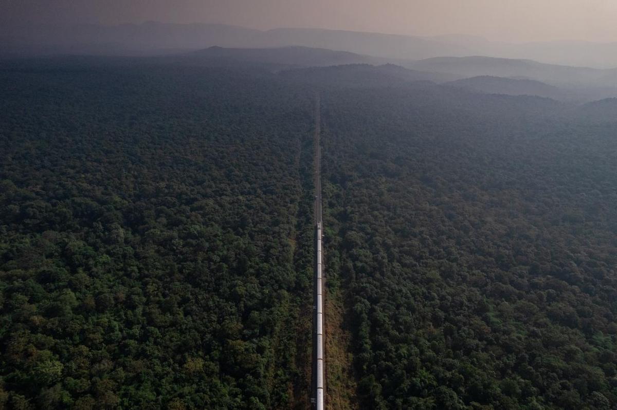 One of the prize winning images captured by Rukhiya Mohammed, who won the Nature inFocus Award 2025 for her portfolio documenting the changing landscapes of the Eastern Ghats.