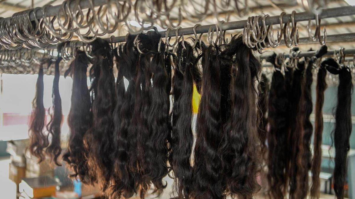 চুলের গোছা শুকানো হচ্ছে চুলের গোছা শুকানো হচ্ছে