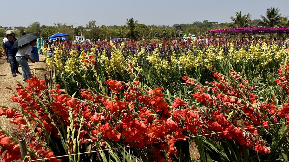 National Horticulture Fair to be held in Bengaluru from February 27