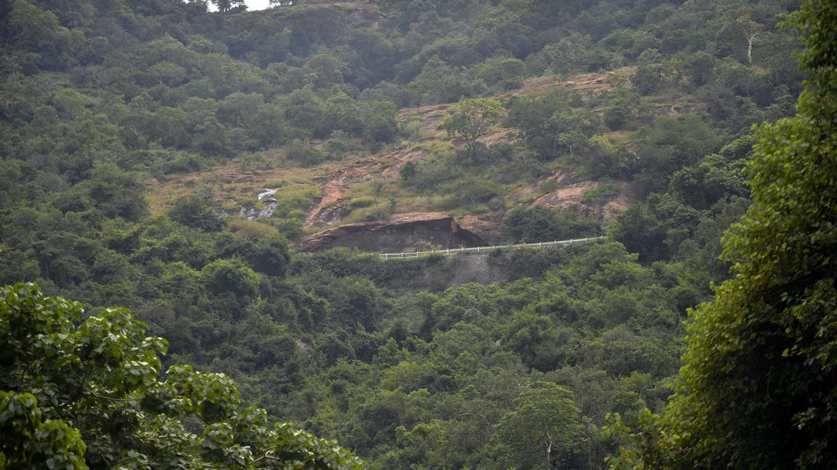 Kalvarayan hills were overexploited by Jagirdhars until T.N. govt. took control in 1976, PCCF tells Madras High Court