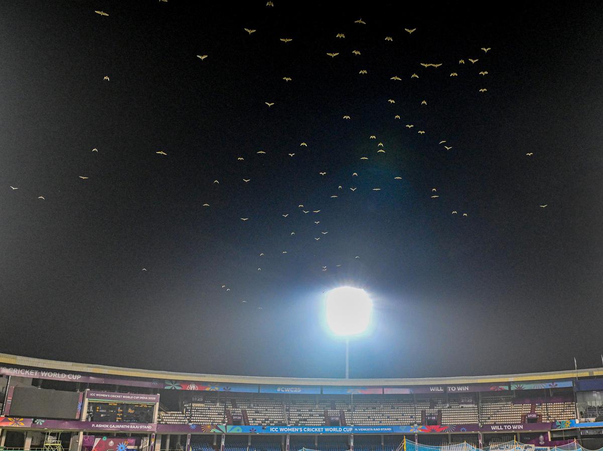 A flock of pond herons flying under the floodlights at the ACA-VDCA International Cricket Stadium in Visakhapatnam.