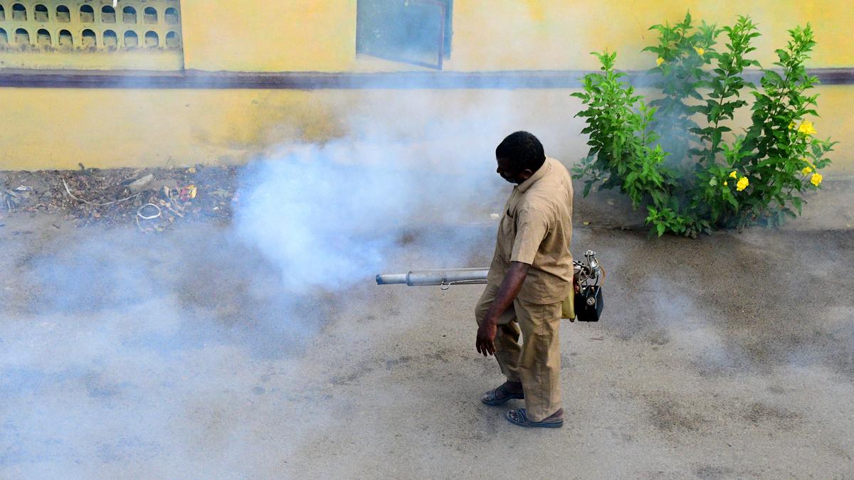 Dengue surge | Control measures intensified in Coimbatore district