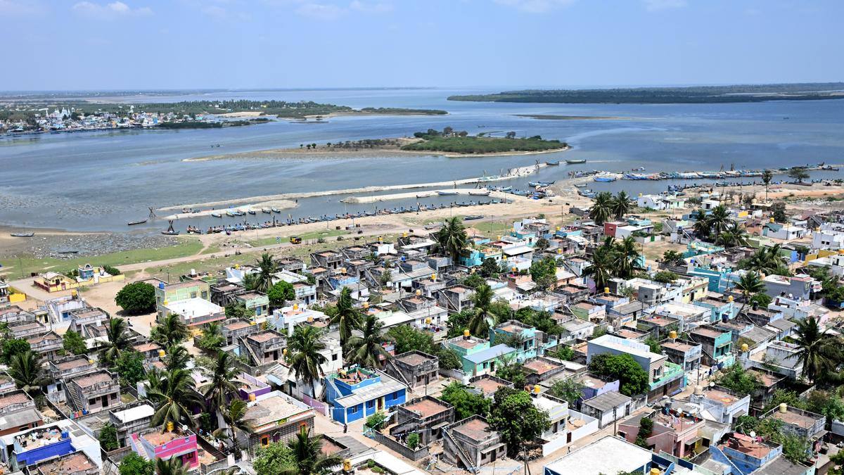 Lake areas outside Pulicat sanctuary must be protected under Wetland Rules, 2017: Wetland Authority