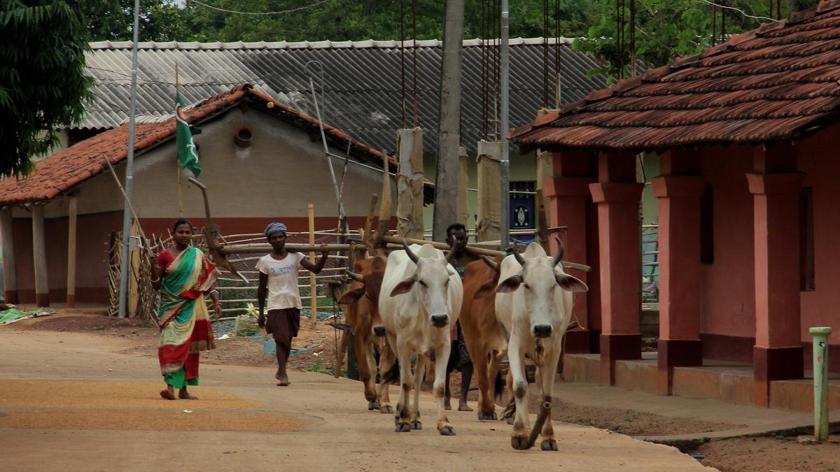 Pride aside, development is the poll agenda in Mayurbhanj
