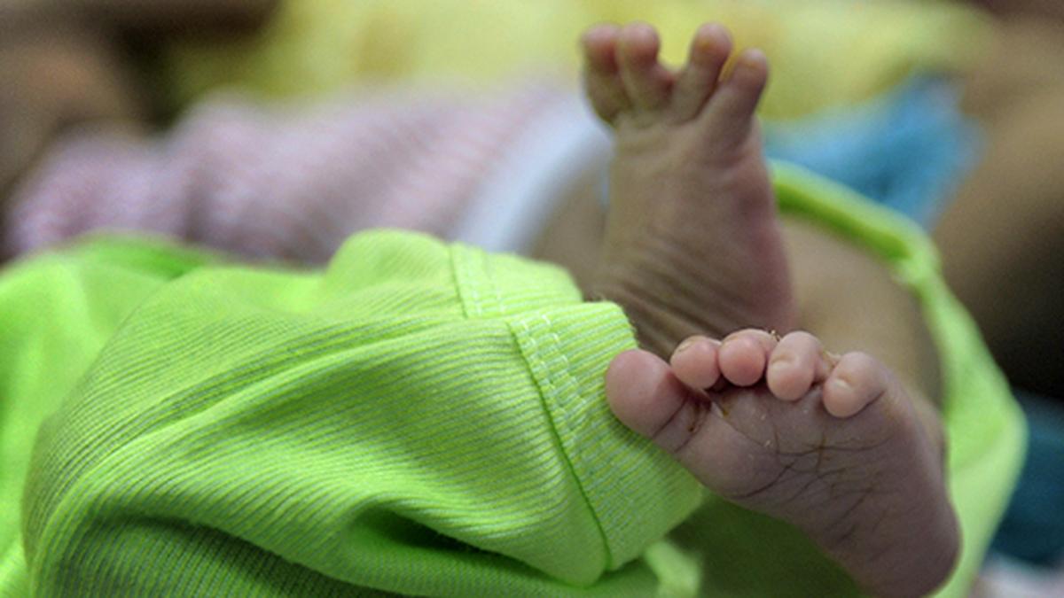 Karnataka's fertility rate declines further to 1.5, well below replacement  level - The Hindu