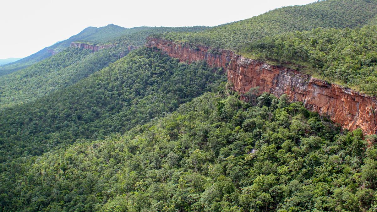 Massive plan to augment green cover in Tirumala forest