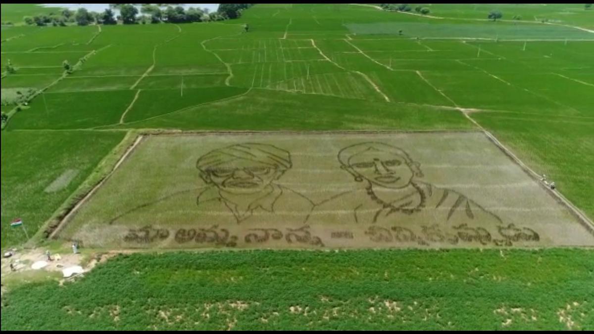 Nizamabad farmer etches parents' face on paddy field - The Hindu