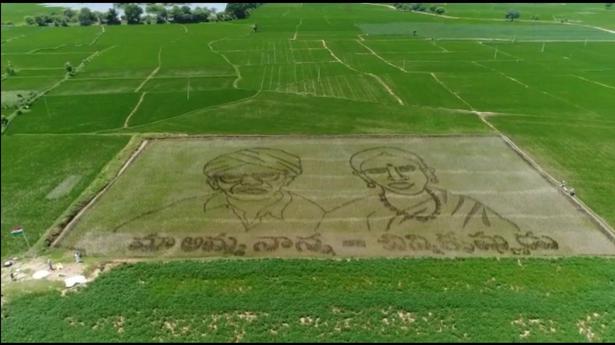 Nizamabad farmer etches parents’ face on paddy field