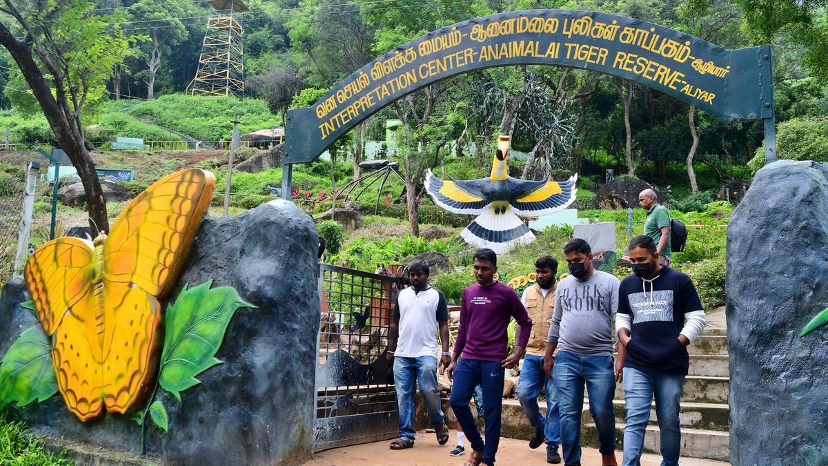 Anamalai and Mudumalai ranked among 'excellent' tiger reserves in India,  says report - The Hindu