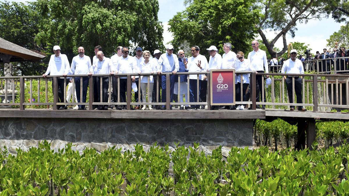 PM Modi plants mangroves in Taman Hutan Raya Ngurah Rai mangrove forest in Bali