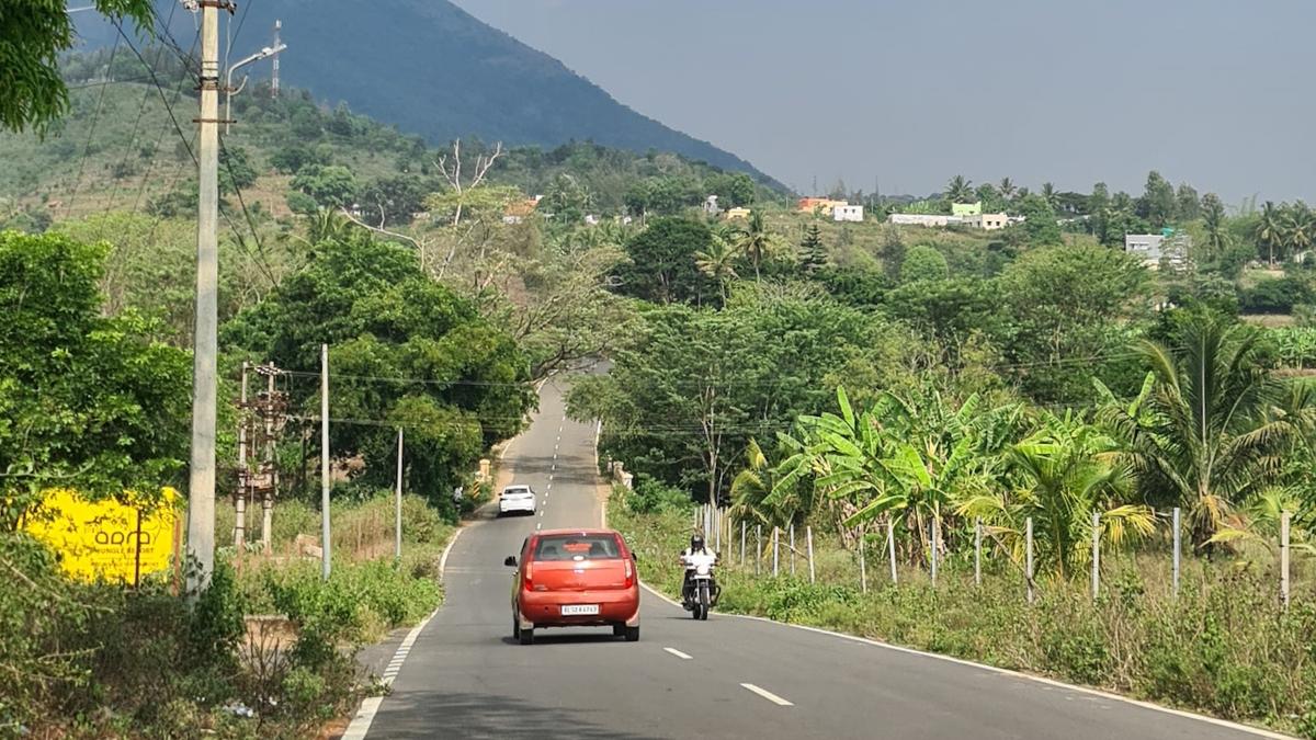 Recent roadkill forces Forest Department to seek Highways to regulate speed of vehicles passing through Anaikatti ghat section near Coimbatore