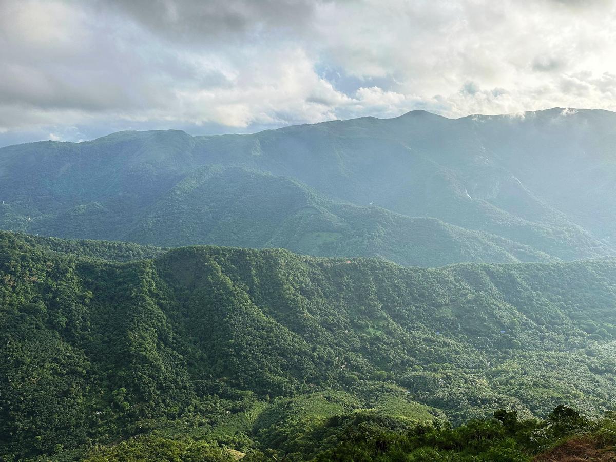 A view along the Nadukani Pavillion-Moolamattom route in Idukki. 