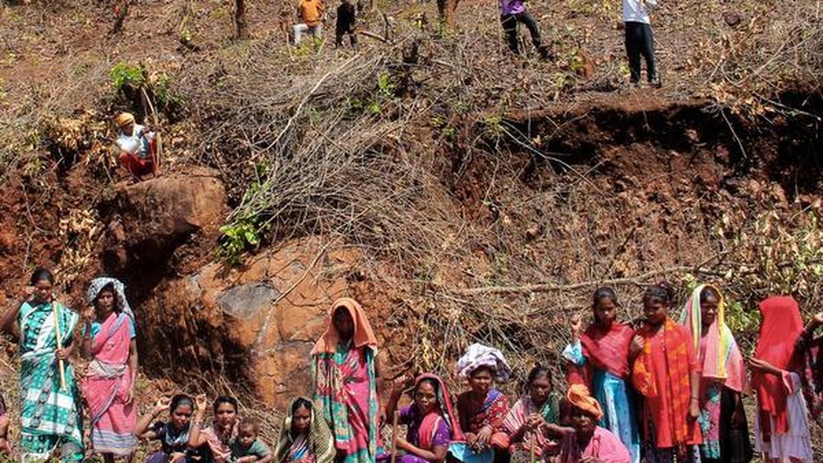 Activists urge Centre to reject expert panel’s nod to Odisha’s Sijimali mine