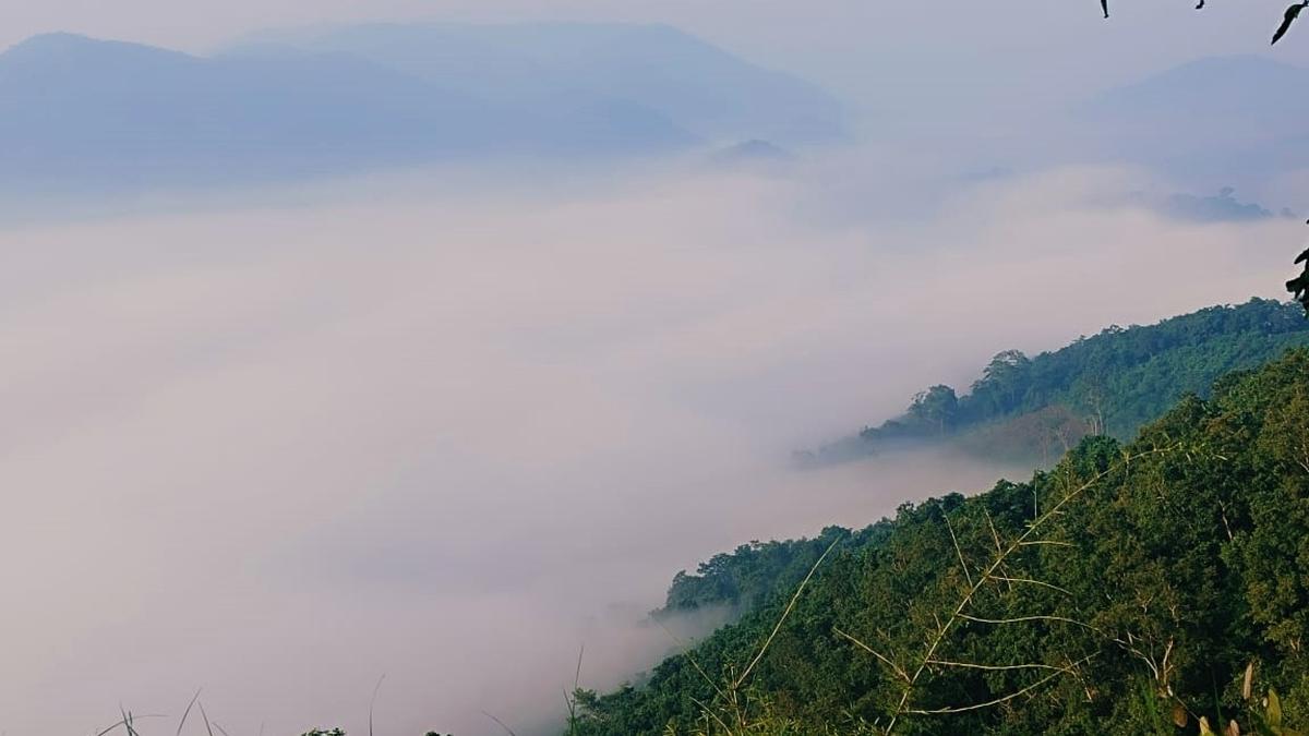Chaavadikota hill, the newest destination in Maredumilli forests beckons tourists 