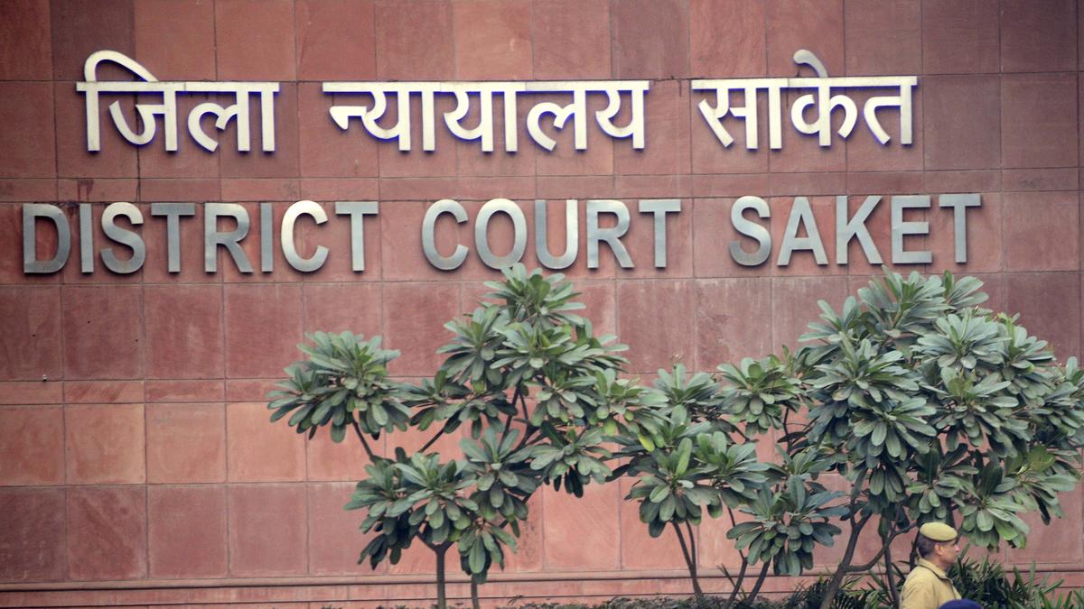 https://th-i.thgim.com/public/incoming/wg2046/article69660608.ece/alternates/LANDSCAPE_1200/05-FAST_TRACK_COURT-RAPE_CASES-02-01-13-DEL.jpg