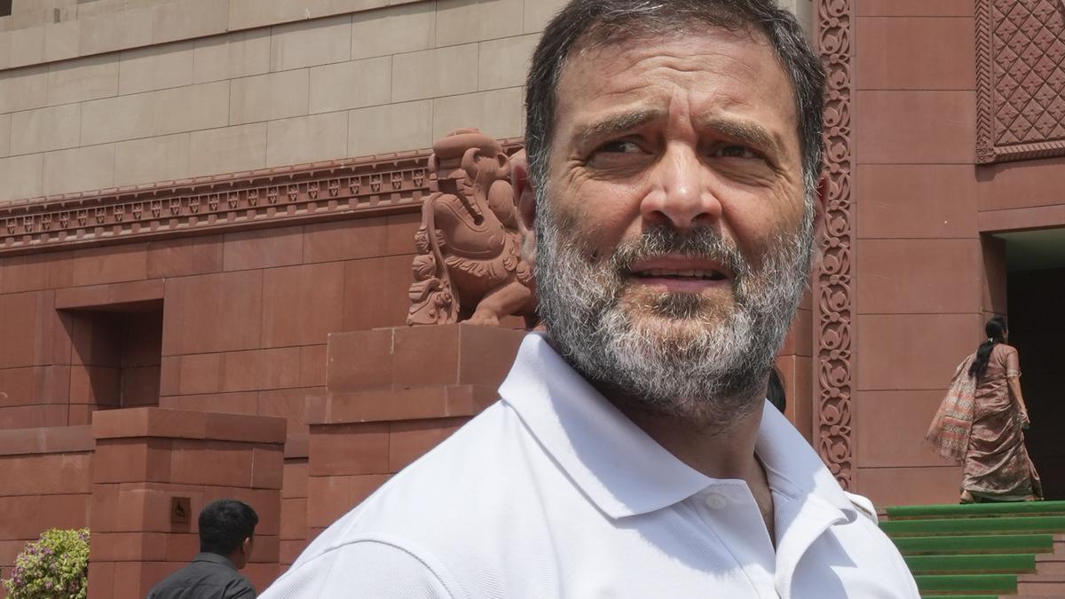 Integrity of SEBI gravely compromised: Rahul Gandhi on Hindenburg row