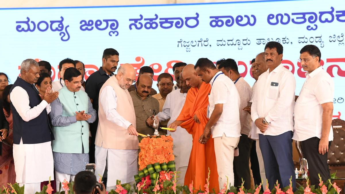 Gujarat and Karnataka can transform country’s coop. dairy sector: Amit Shah