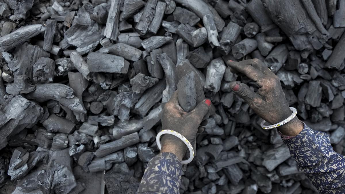 Coal production grew 10.8% in December