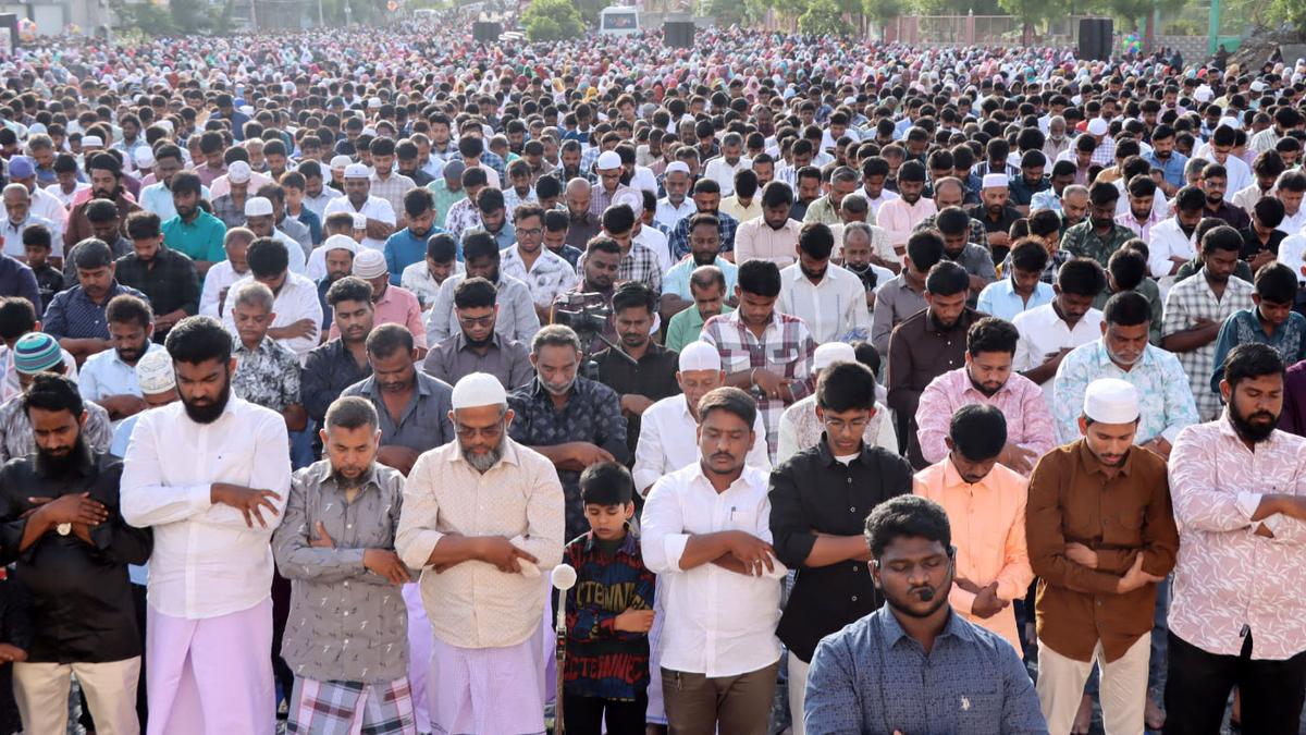 Bakrid celebrated with congregational prayers, distribution of meat in Tiruchi