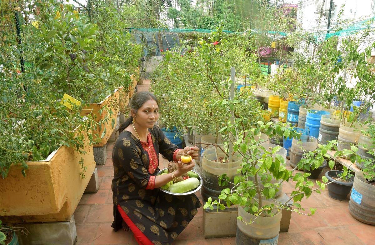Inflation impact: for some, terrace gardens aren't just a hobby ...