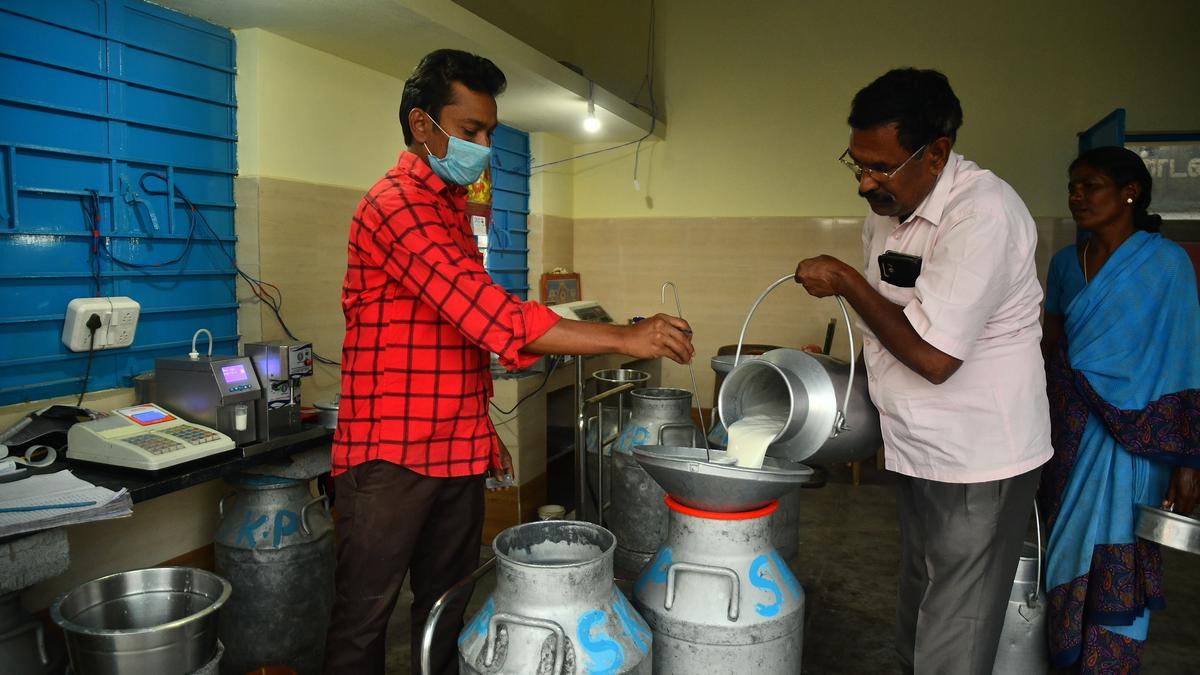 Aavin daily milk procurement crosses five lakh litres in Tiruchi