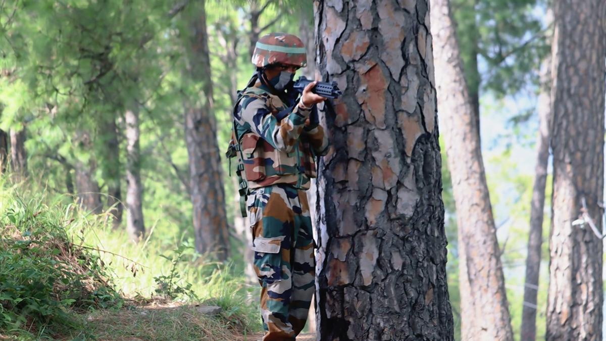 Pakistani intruder shot dead along LoC in J-K's Poonch