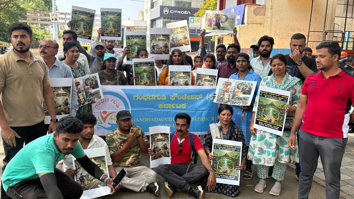 Citizens rally for wildlife with ‘Walk for Bandipur’ campaign
