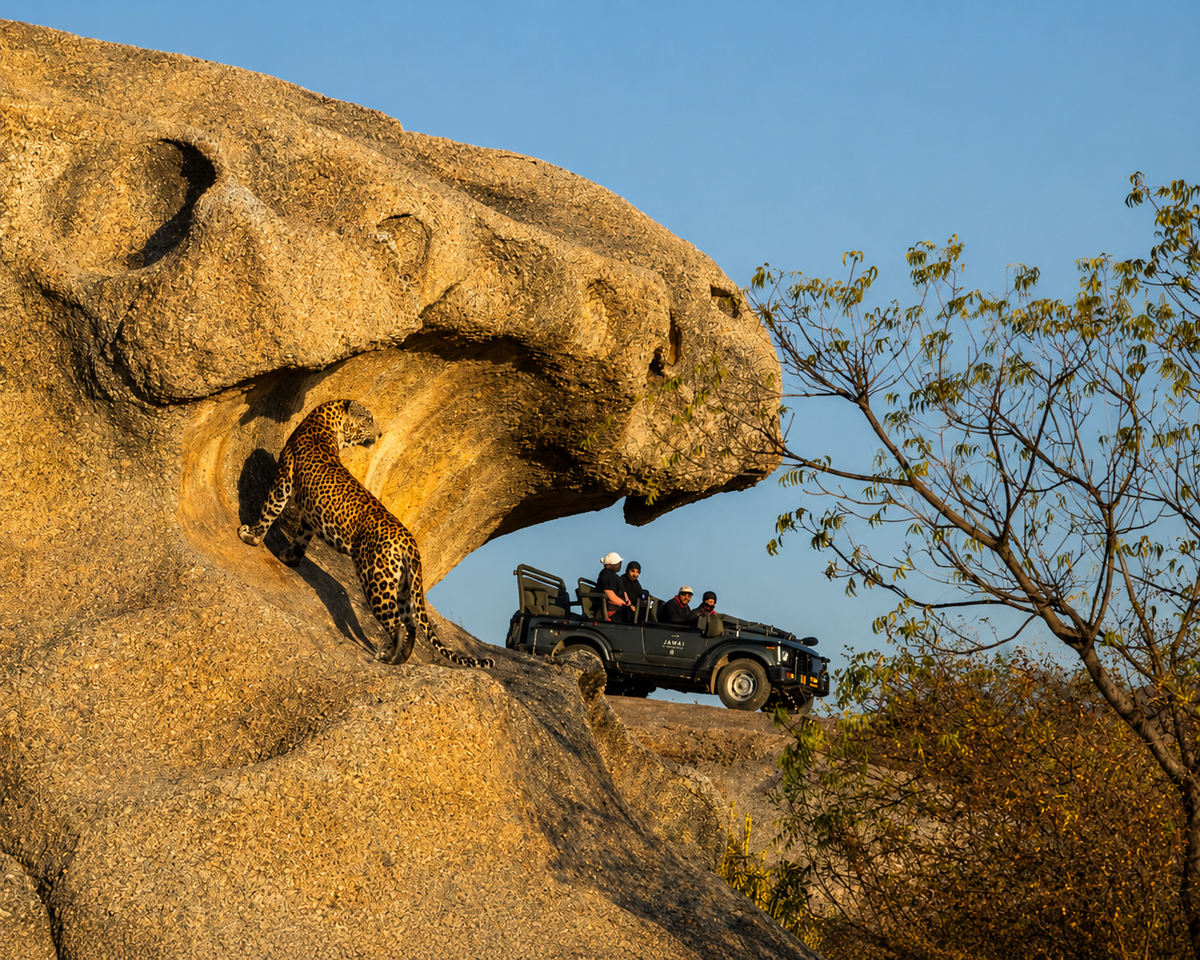 A drive organised by Sujan Jawai