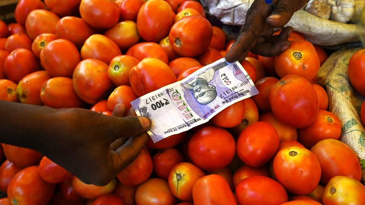 Why are tomato prices rising? : Data