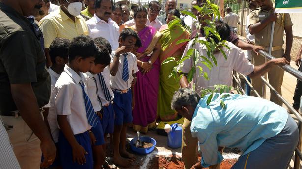 Forest Department to plant 3.10 lakh saplings in Tiruchi district